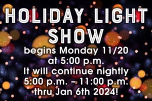 Holiday Light Show